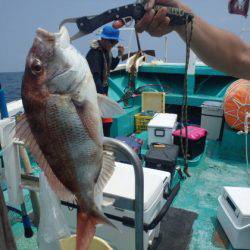 清和丸 釣果