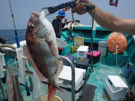 清和丸 釣果