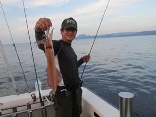 ジギング船 BLUEWATER 釣果