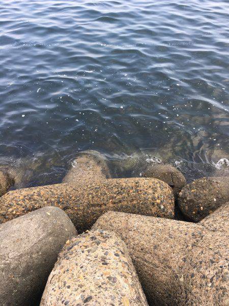 テトラでヘチ釣り