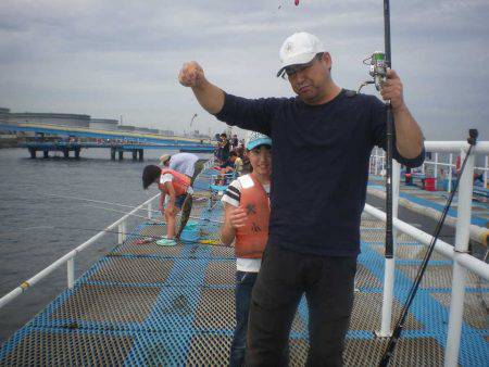 オリジナルメーカー海づり公園(市原市海づり施設) 釣果
