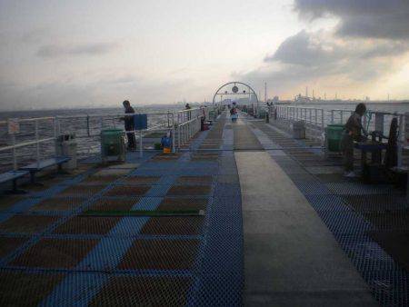 オリジナルメーカー海づり公園(市原市海づり施設) 釣果