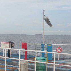 オリジナルメーカー海づり公園(市原市海づり施設) 釣果