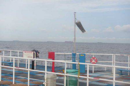 オリジナルメーカー海づり公園(市原市海づり施設) 釣果