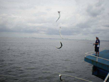 オリジナルメーカー海づり公園(市原市海づり施設) 釣果