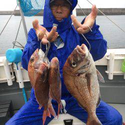 さんさん丸 釣果