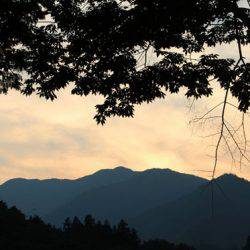 小菅トラウトガーデン 釣果