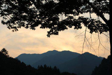 小菅トラウトガーデン 釣果