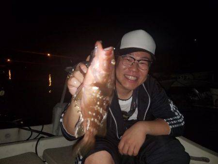 Magic（マジック） 釣果