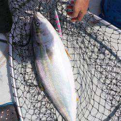 スカイマリン 釣果