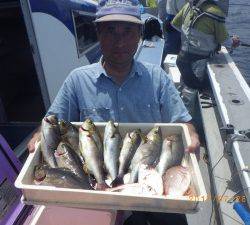 石川丸 釣果