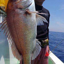 遊漁船 新鋭丸 釣果