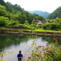 小菅トラウトガーデン 釣果
