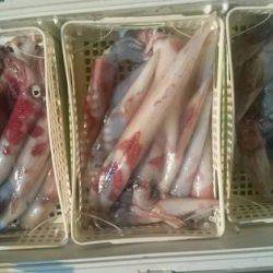 寿裕 （YOSHIHIRO） 釣果