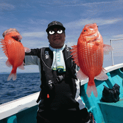 清和丸 釣果