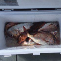 遊漁船高橋 釣果