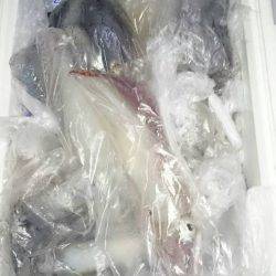 寿裕 （YOSHIHIRO） 釣果