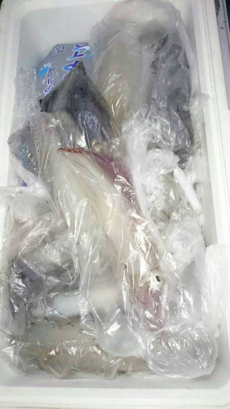 寿裕 （YOSHIHIRO） 釣果