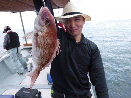 遊漁船 幸友丸 釣果