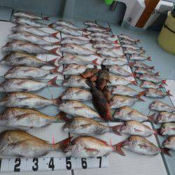 遊漁船 幸友丸 釣果