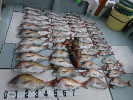 遊漁船 幸友丸 釣果