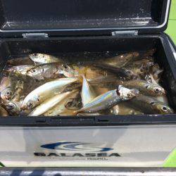 深川 吉野屋 釣果