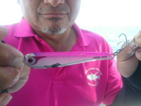 深川 吉野屋 釣果