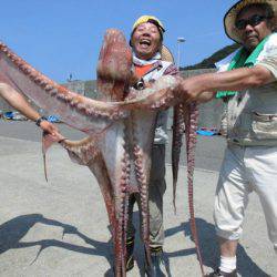 大進丸（新潟） 釣果