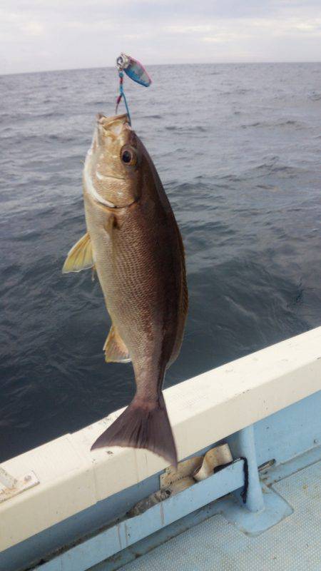 秀漁丸 釣果
