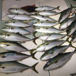 ふじしめ丸 釣果