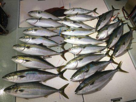 ふじしめ丸 釣果