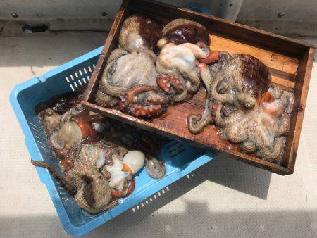 釣り船角田 釣果