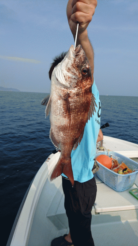 遊漁船ブルーウッズ 釣果