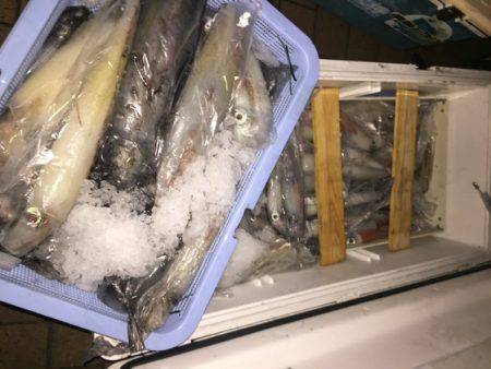 幸風（さちかぜ） 釣果