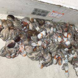 釣り船角田 釣果