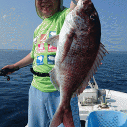 遊漁船ブルーウッズ 釣果