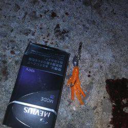 強風の中でリグ調査