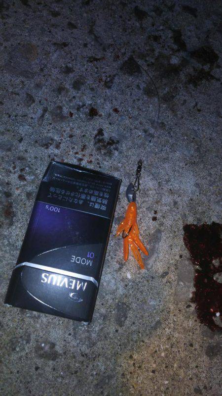 強風の中でリグ調査