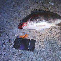 強風の中でリグ調査