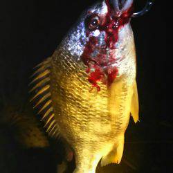 強風の中でリグ調査