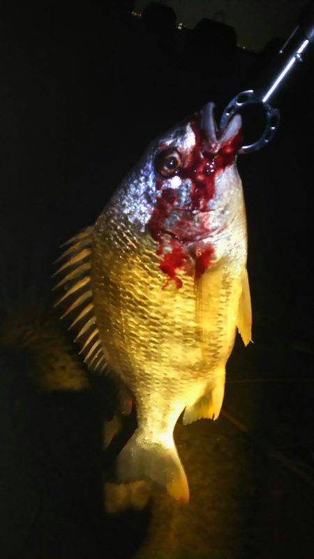 強風の中でリグ調査