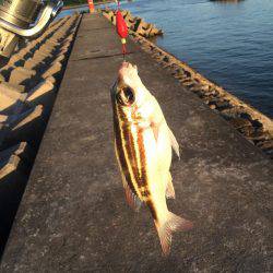 家族が寝ているうちに