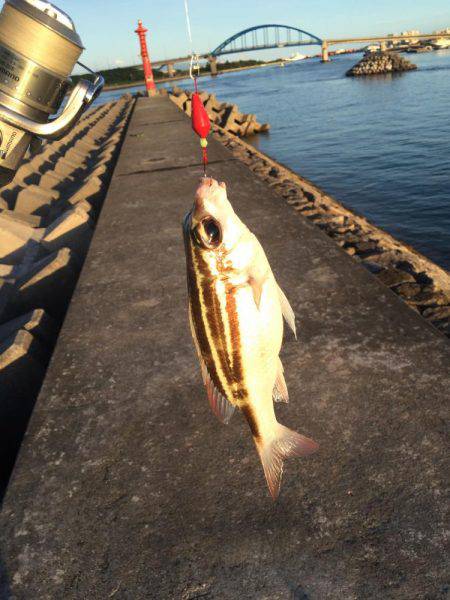 家族が寝ているうちに