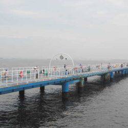 オリジナルメーカー海づり公園(市原市海づり施設) 釣果