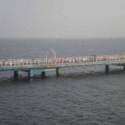 オリジナルメーカー海づり公園(市原市海づり施設) 釣果