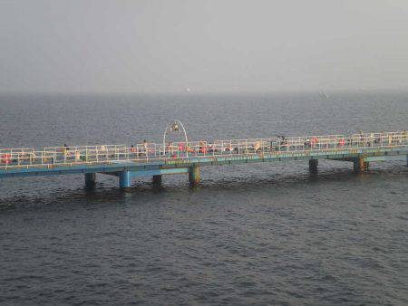 オリジナルメーカー海づり公園(市原市海づり施設) 釣果