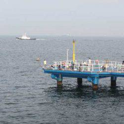 オリジナルメーカー海づり公園(市原市海づり施設) 釣果