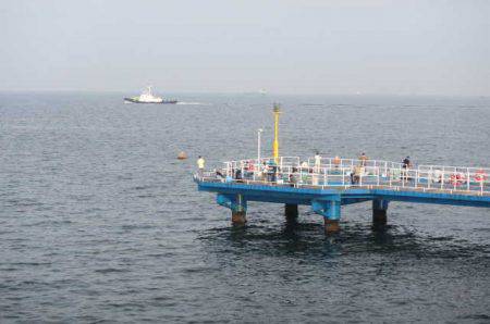 オリジナルメーカー海づり公園(市原市海づり施設) 釣果