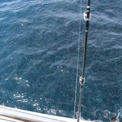 へいみつ丸 釣果