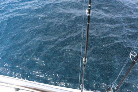 へいみつ丸 釣果